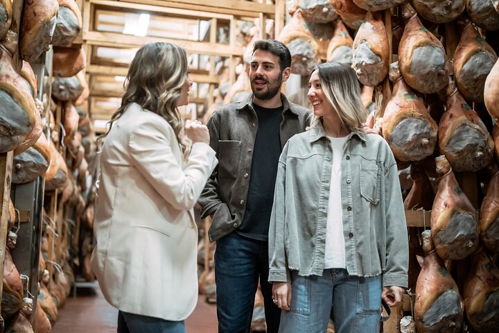 Small group of visitors touring a Prosciutto di Parma curing house lined with hanging hams